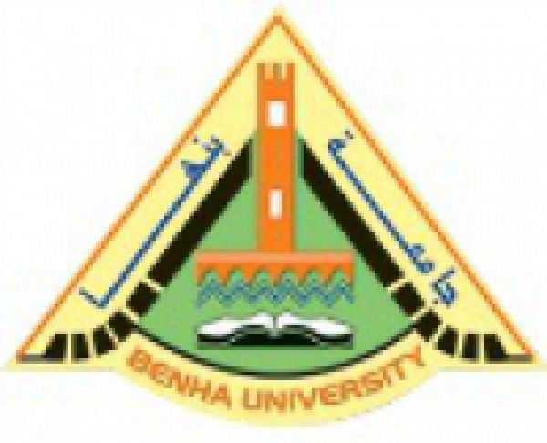 Carrying out the strategic plan of Benha University next December